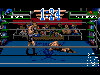 3D World Boxing (1992) 3D World Boxing (1992)
