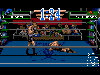 3D World Boxing (1992)