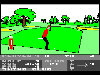 3D Golf (1986)