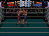 3D World Boxing (1992) 3D World Boxing (1992)