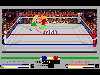 4D Boxing (1991) 4D Boxing (1991)