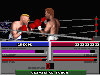 ABC's Wide World Of Sports Boxing (1991)