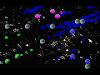 Advanced Space Battle (2006)