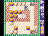 Adventures Of Lolo (1995)