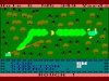 Amsgolf (1984)