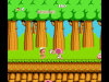 Adventure Island (1987) Adventure Island (1987)