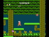 Adventure Island 2 (1990) Adventure Island 2 (1990)