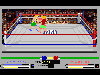 4D Boxing (1991)