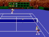 Advantage Tennis (1991)