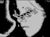 3D-Roost (2000)